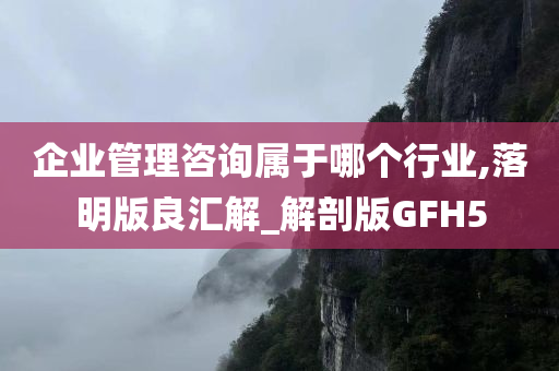 企业管理咨询属于哪个行业,落明版良汇解_解剖版GFH5