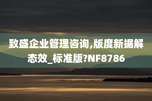 致盛企业管理咨询,版度新据解态效_标准版?NF8786