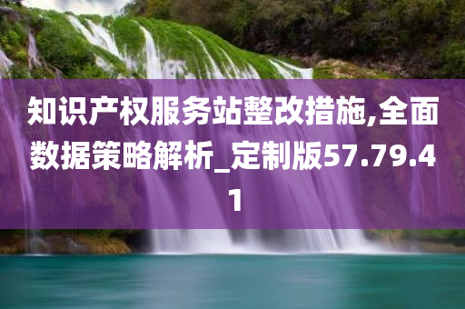 知识产权服务站整改措施,全面数据策略解析_定制版57.79.41