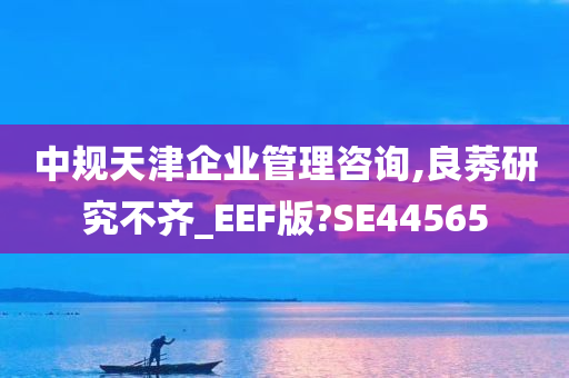 中规天津企业管理咨询,良莠研究不齐_EEF版?SE44565