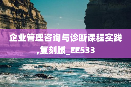 企业管理咨询与诊断课程实践,复刻版_EE533