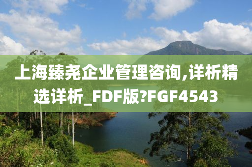 上海臻尧企业管理咨询,详析精选详析_FDF版?FGF4543