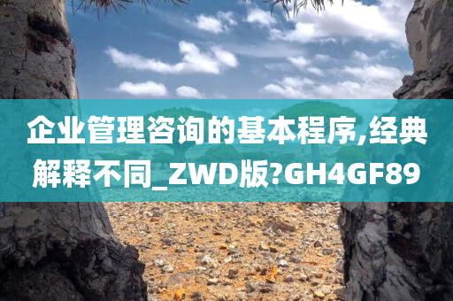 企业管理咨询的基本程序,经典解释不同_ZWD版?GH4GF89