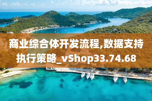 商业综合体开发流程,数据支持执行策略_vShop33.74.68