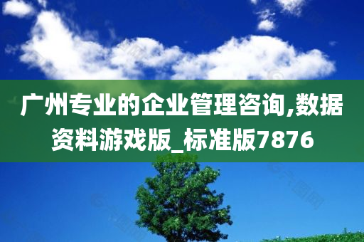 广州专业的企业管理咨询,数据资料游戏版_标准版7876