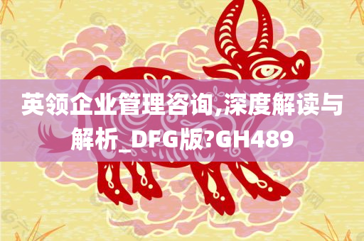 英领企业管理咨询,深度解读与解析_DFG版?GH489