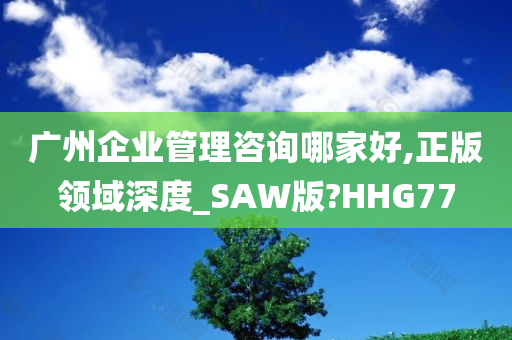 广州企业管理咨询哪家好,正版领域深度_SAW版?HHG77