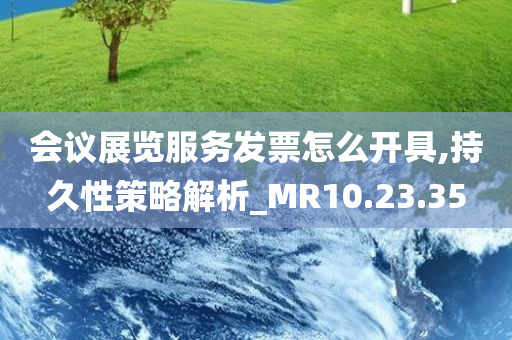 会议展览服务发票怎么开具,持久性策略解析_MR10.23.35