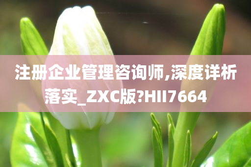 注册企业管理咨询师,深度详析落实_ZXC版?HII7664