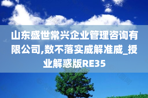 山东盛世常兴企业管理咨询有限公司,数不落实威解准威_授业解惑版RE35