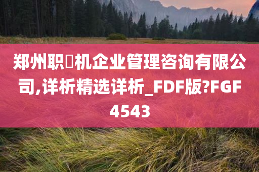 郑州职昇机企业管理咨询有限公司,详析精选详析_FDF版?FGF4543