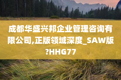 成都华盛兴邦企业管理咨询有限公司,正版领域深度_SAW版?HHG77