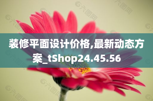 装修平面设计价格,最新动态方案_tShop24.45.56