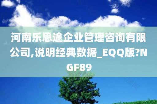 河南乐思途企业管理咨询有限公司,说明经典数据_EQQ版?NGF89