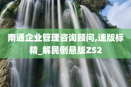 南通企业管理咨询顾问,速版标精_解民倒悬版ZS2