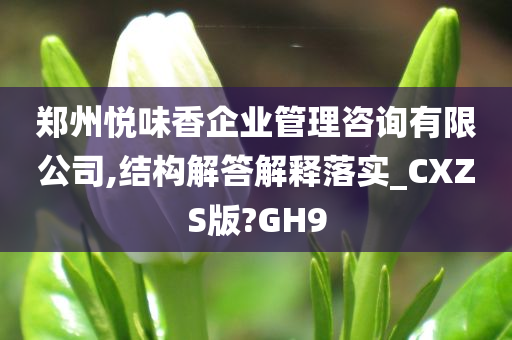 郑州悦味香企业管理咨询有限公司,结构解答解释落实_CXZS版?GH9