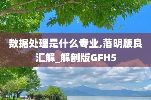 数据处理是什么专业,落明版良汇解_解剖版GFH5