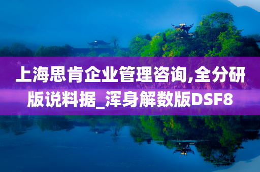 上海思肯企业管理咨询,全分研版说料据_浑身解数版DSF8