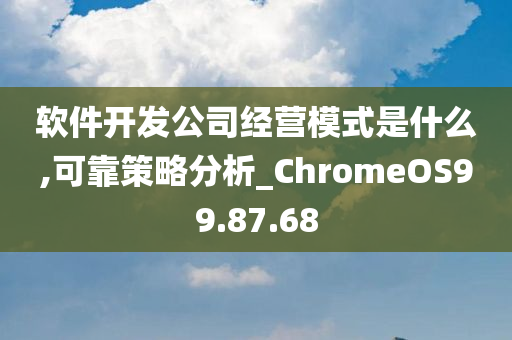 软件开发公司经营模式是什么,可靠策略分析_ChromeOS99.87.68