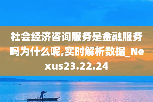 社会经济咨询服务是金融服务吗为什么呢,实时解析数据_Nexus23.22.24