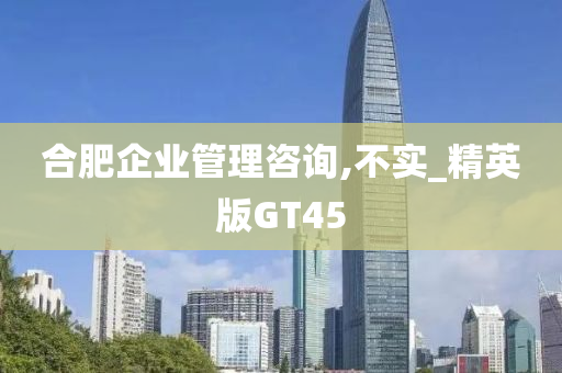 合肥企业管理咨询,不实_精英版GT45