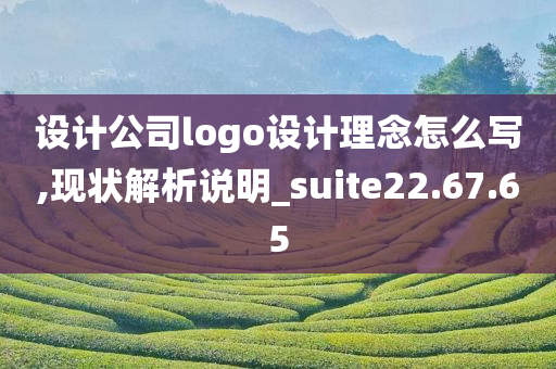 设计公司logo设计理念怎么写,现状解析说明_suite22.67.65