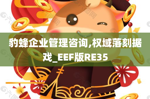 豹蜂企业管理咨询,权域落刻据戏_EEF版RE35