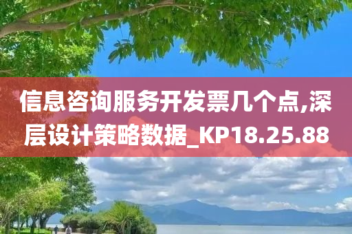 信息咨询服务开发票几个点,深层设计策略数据_KP18.25.88