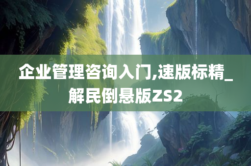 企业管理咨询入门,速版标精_解民倒悬版ZS2