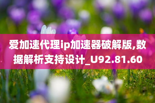 爱加速代理ip加速器破解版,数据解析支持设计_U92.81.60