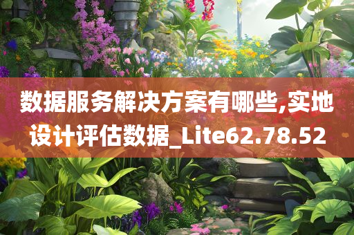 数据服务解决方案有哪些,实地设计评估数据_Lite62.78.52