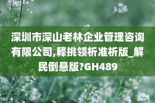 深圳市深山老林企业管理咨询有限公司,释挑领析准析版_解民倒悬版?GH489