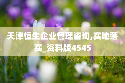 天津恒生企业管理咨询,实地落实_资料版4545