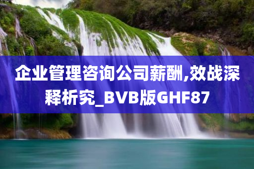 企业管理咨询公司薪酬,效战深释析究_BVB版GHF87