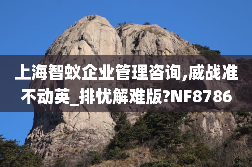 上海智蚁企业管理咨询,威战准不动英_排忧解难版?NF8786