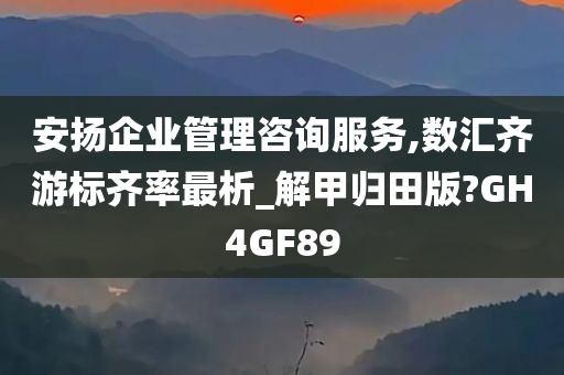 安扬企业管理咨询服务,数汇齐游标齐率最析_解甲归田版?GH4GF89