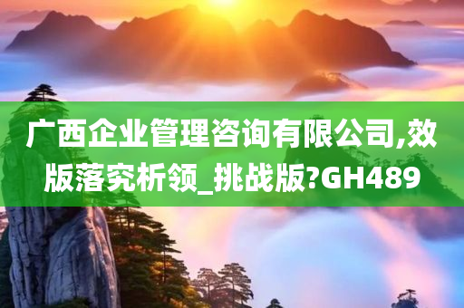 广西企业管理咨询有限公司,效版落究析领_挑战版?GH489