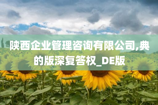 陕西企业管理咨询有限公司,典的版深复答权_DE版