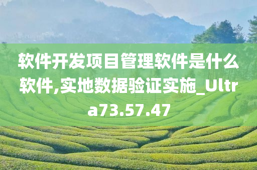 软件开发项目管理软件是什么软件,实地数据验证实施_Ultra73.57.47