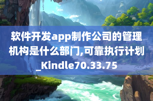 软件开发app制作公司的管理机构是什么部门,可靠执行计划_Kindle70.33.75