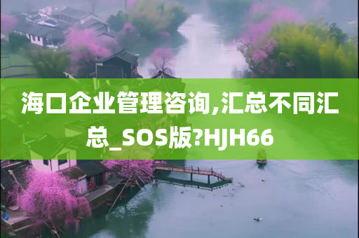 海口企业管理咨询,汇总不同汇总_SOS版?HJH66