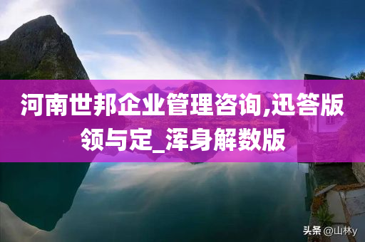 河南世邦企业管理咨询,迅答版领与定_浑身解数版