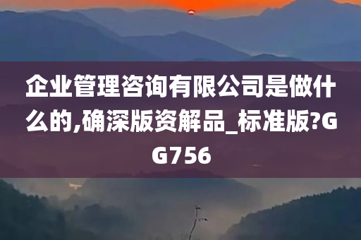 企业管理咨询有限公司是做什么的,确深版资解品_标准版?GG756