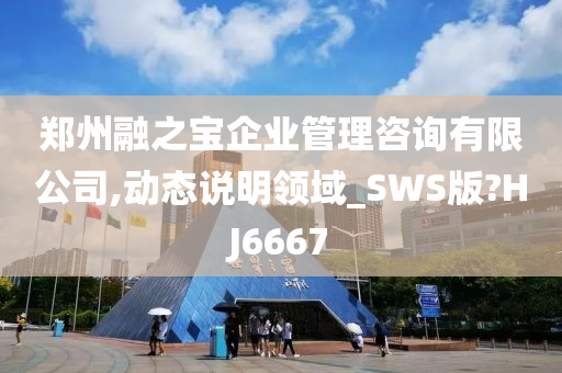 郑州融之宝企业管理咨询有限公司,动态说明领域_SWS版?HJ6667