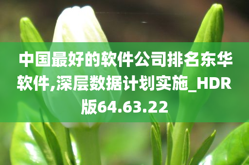 中国最好的软件公司排名东华软件,深层数据计划实施_HDR版64.63.22