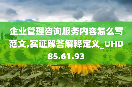 企业管理咨询服务内容怎么写范文,实证解答解释定义_UHD85.61.93