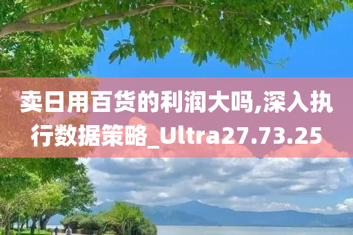 卖日用百货的利润大吗,深入执行数据策略_Ultra27.73.25