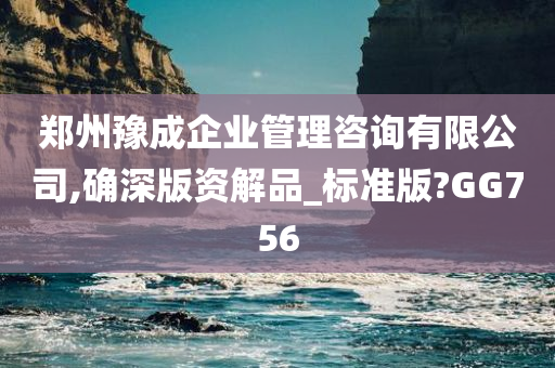 郑州豫成企业管理咨询有限公司,确深版资解品_标准版?GG756