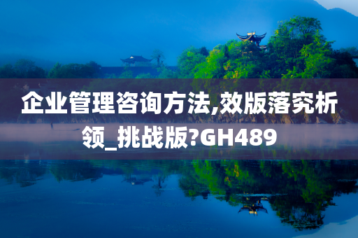 企业管理咨询方法,效版落究析领_挑战版?GH489