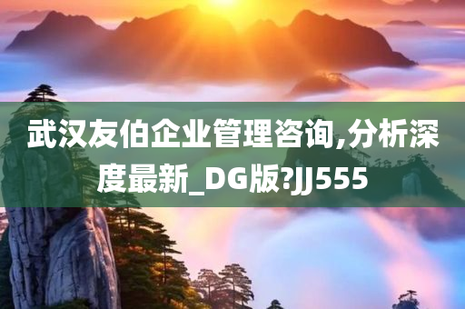 武汉友伯企业管理咨询,分析深度最新_DG版?JJ555